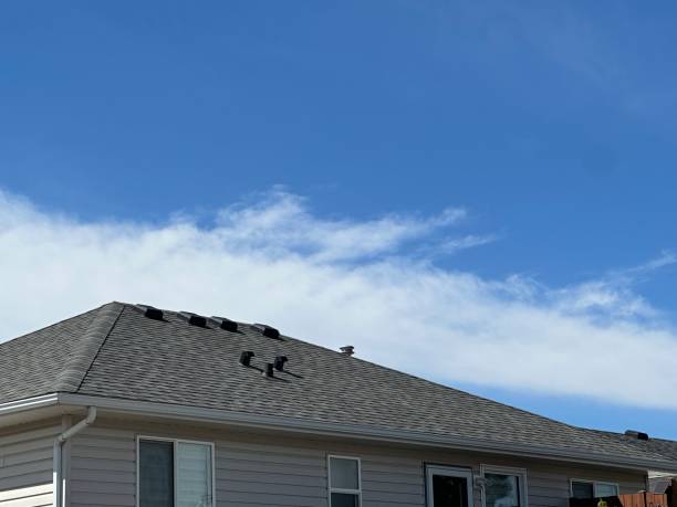 Best Green or Eco-Friendly Roofing Solutions  in Mentor On The Lake, OH